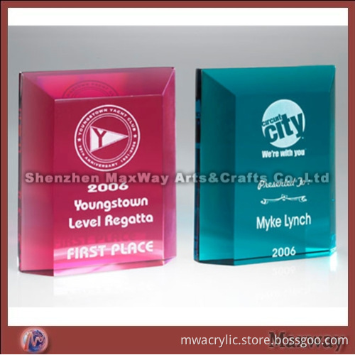 Ingenious Acrylic/Lucite Trophy/Letterweight/Gift with Logo